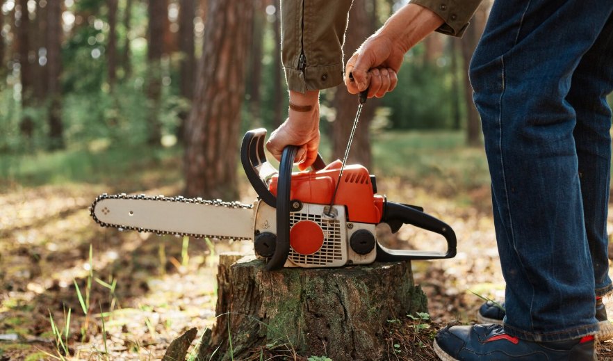 A worker starting a chainsaw beside a tree stump